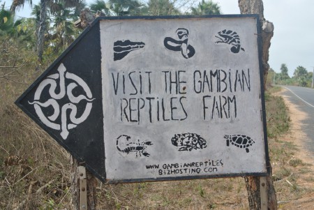 The Reptile Farm